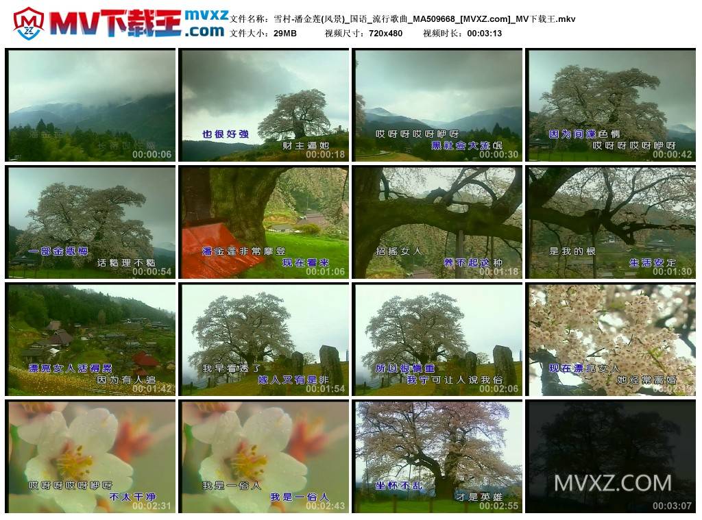 雪村-潘金莲(风景)_国语_流行歌曲_MA509668